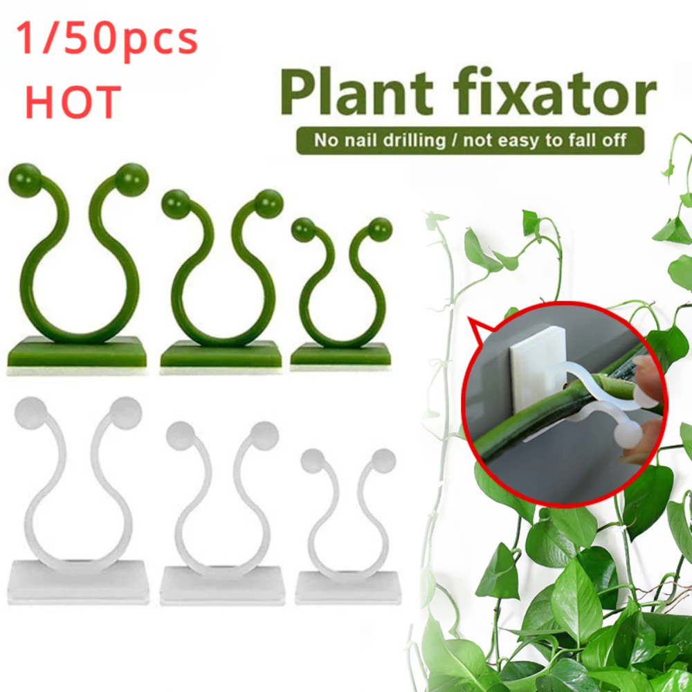 Outdoor Lighting Manufacturers - 1/30/50Pcs For Garden Accsesories Plant Garden