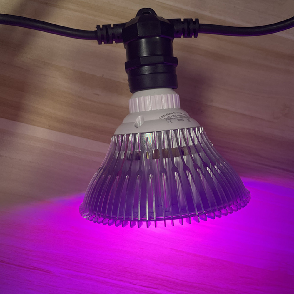 10M Cable LED String Commercia - đánh giá và giá Outdoor Lighting Globes