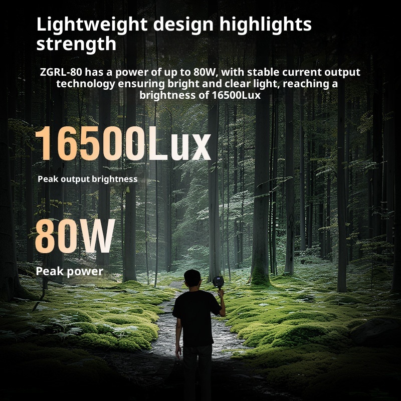 ZGRL80 80W COB LED Video Light - đánh giá và giá Outdoor Lighting For Photography