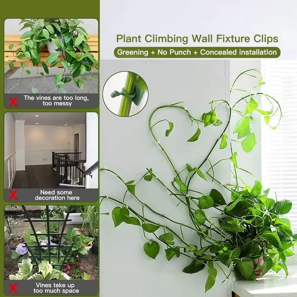 1/30/50Pcs For Garden Accsesor - đánh giá và giá Outdoor Lighting Manufacturers